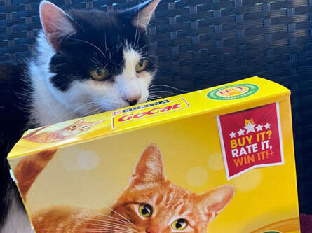 Go cat deals food price